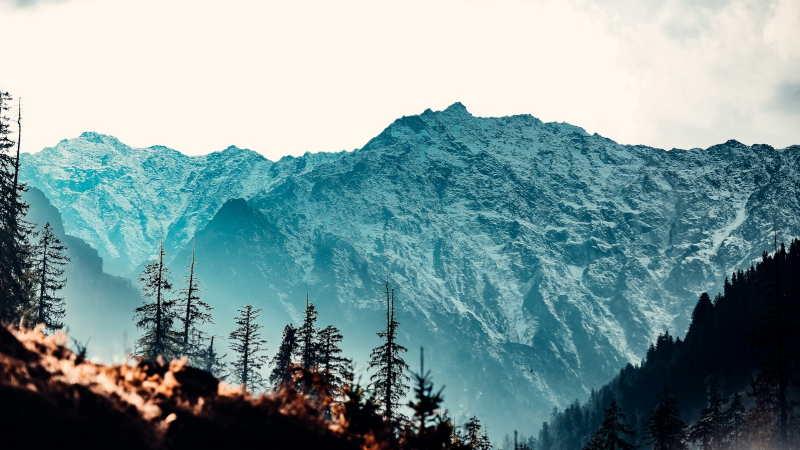 MANALI - SHIMLA TOUR PACKAGE BY VOLVO