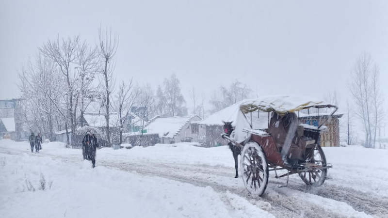 KASHMIR TOUR PACKAGE