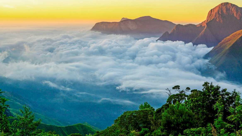 KERALA - MUNNAR PACKAGE